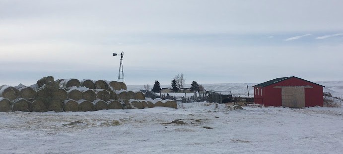 winter farm yard